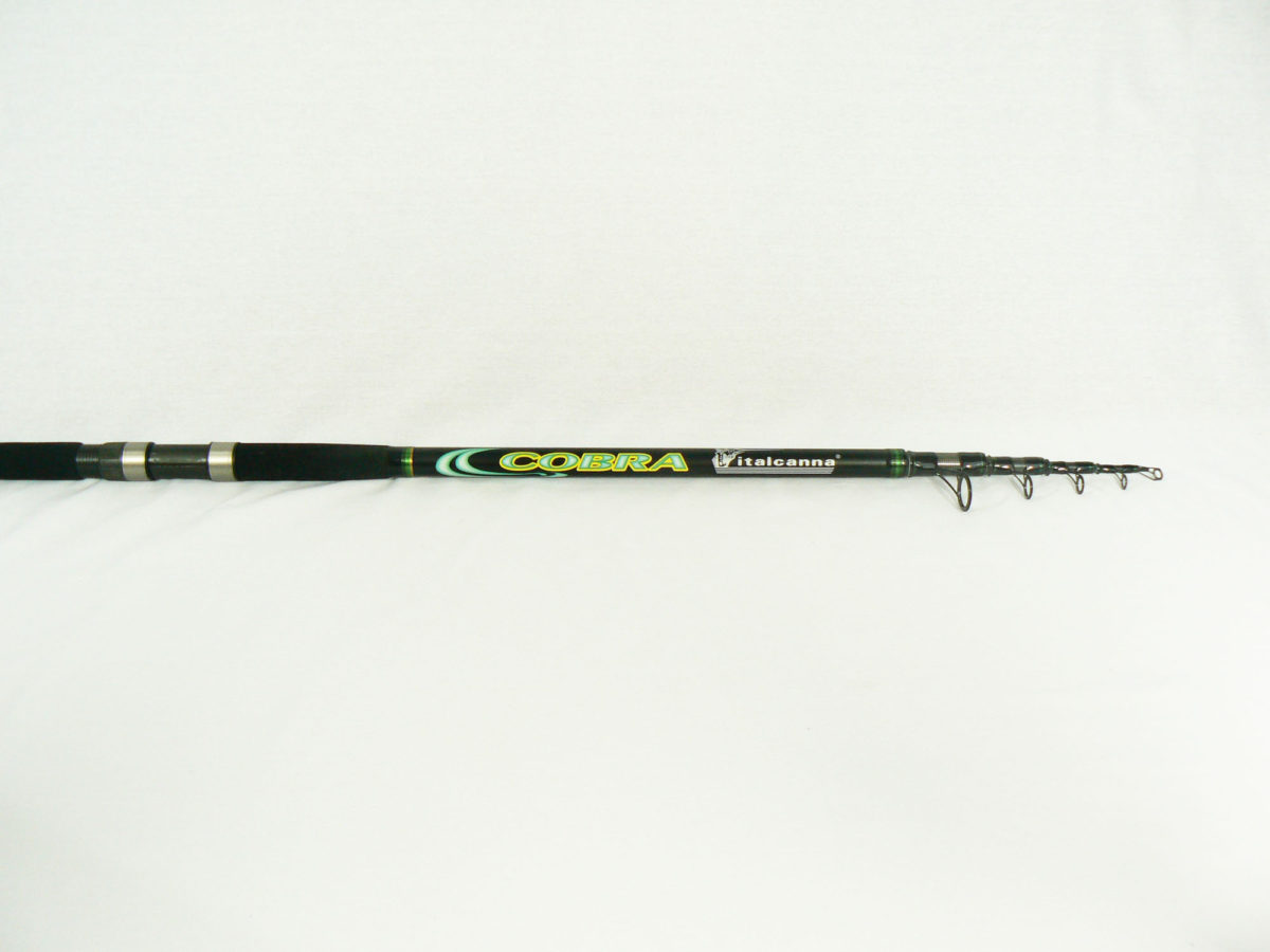 Milo bolo Modulite Tele 5 mt Usato Pesca